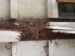 Dry Rot Exterior Repair Project