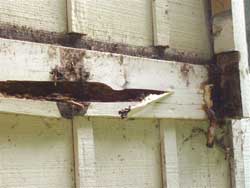 Dry Rot Exterior Repair Project